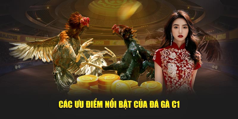 Các ưu điểm nổi bật của đá gà C1