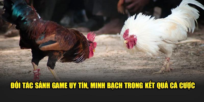 Đối tác sảnh game uy tín, minh bạch trong kết quả cá cược