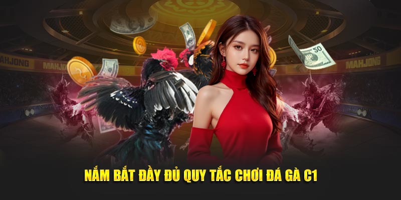 Nắm bắt đầy đủ quy tắc chơi đá gà C1